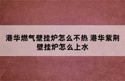 港华燃气壁挂炉怎么不热 港华紫荆壁挂炉怎么上水